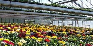 Bild 3 Übelhack in Goldkronach