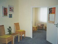 Bild 2 Geier in Steinbach a.Wald