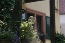 Bild 5 Landgasthof "Zur Krone" in Prichsenstadt