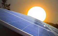 Bild 3 Ameis in Schwarzenbruck