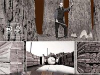 Bild 1 Mehling & Wiesmann - Sägewerk - Holzgroßhandlung - Furnierwerk GmbH in Lohr a.Main