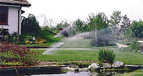 Bild 2 Der Gartenzwerg in Seukendorf