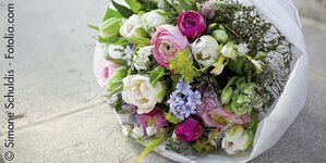 Bild 1 Blumen Böhmer in Erlangen