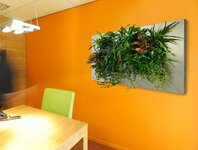 Bild 7 indoor green in Amberg