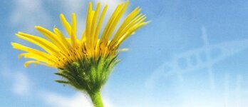 Bild 2 Ries in Happurg