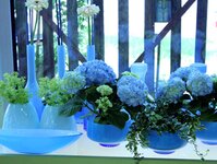 Bild 4 Blumenhaus am Hochweg Inh.Listl Christian e.K. in Regensburg