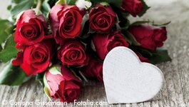 Bild 1 Söllner in Neunburg vorm Wald