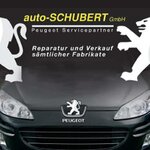 Bild 11 Auto Schubert in Obertraubling