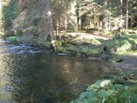 Bild 41 Stefans Angelshop in Regensburg