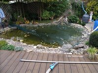 Bild 7 Die Teichreiniger in Erlangen