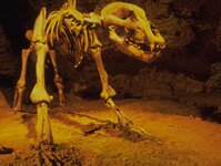 Bild 2 Zweckverband Teufelshöhle