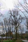 Bild 6 Lenz in Oerlenbach
