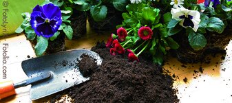 Bild 1 Fries in Gerbrunn