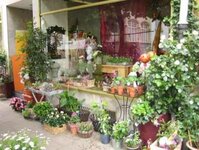 Bild 5 Blumen Irmis Blumenhain Inh. Irmgard Wagner in Bamberg