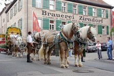 Bild 2 Stadt Zirndorf in Zirndorf