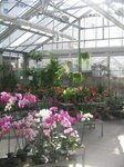 Bild 2 Bauer' s Blumen, Garten und mehr ... e.K. in Neumarkt i.d.OPf.