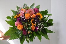 Bild 12 Blumen Speth GmbH in Regensburg