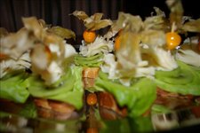 Bild 6 Partschefeld in Wilhelmsthal