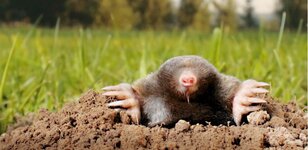 Bild 7 Schaller GmbH in Untersiemau