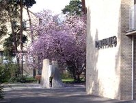 Bild 3 Stadt Stein Sportanlage Weihersberg in Stein