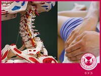 Bild 3 Private Berufsfachschulen für Physiotherapie und Massage in Erlangen