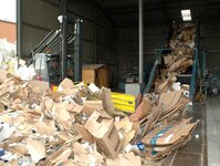 Bild 5 Fischer Karl in Würzburg