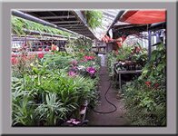 Bild 1 Kaiser in Buckenhof