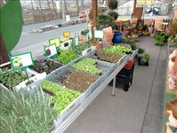 Bild 3 Blumen Wendler in Hersbruck