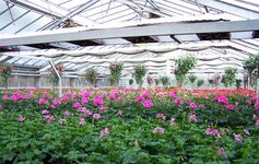 Bild 2 Übelhack in Goldkronach