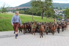 Bild 12 Schudt in Schöllkrippen