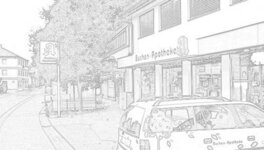 Bild 1 Buchen in Lohr a.Main