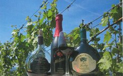Bild 1 Wenzel's Weinscheune in Alzenau