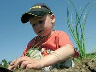 Bild 5 Baier in Steinbach a.Wald