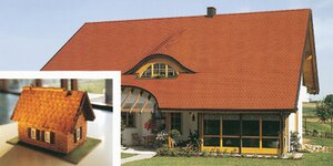 Bild 5 Strauß in Weiden i.d.OPf.