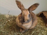 Bild 1 Kleintierpraxis Dr. Matthias Wingfeld in Röttenbach