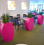 Bild 8 indoor green in Amberg