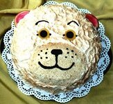 Bild 6 Naschkatze in Tirschenreuth