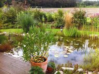 Bild 3 Naturnahe Gartengestaltung Ralf Kretzer-Felske in Theilheim