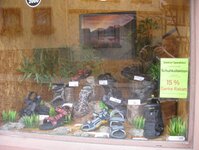 Bild 6 Wild in Miltenberg