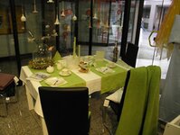Bild 7 Mimosa in Aschaffenburg