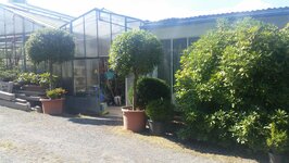 Bild 6 Herzog in Kulmbach