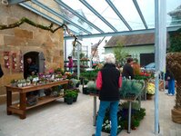 Bild 7 Blumen und Schönes in Kirchehrenbach