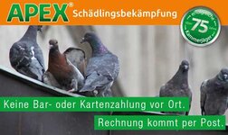 Bild 2 PCS GmbH APEX Würzburg in Köln
