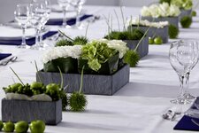 Bild 6 Blumen 1A Inh. Frank Halbig in Lauf a.d.Pegnitz