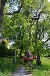 Bild 7 Lenz in Oerlenbach
