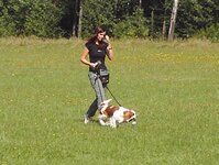 Bild 5 Hundeschule Villa Vista Andrea Gilch in Waidhaus