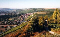 Bild 5 Störrlein in Randersacker