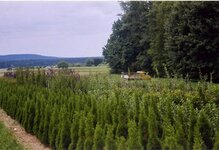 Bild 1 Pfistner in Strullendorf