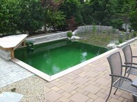 Bild 3 Der Gartenzwerg in Seukendorf