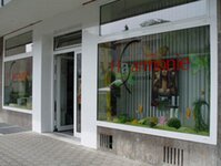Bild 5 Friseursalon Haarmonie Inh. Karin Fuchs in Würzburg